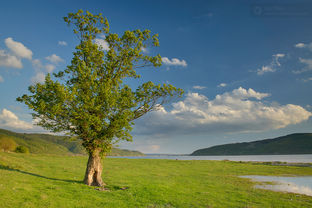 Natură